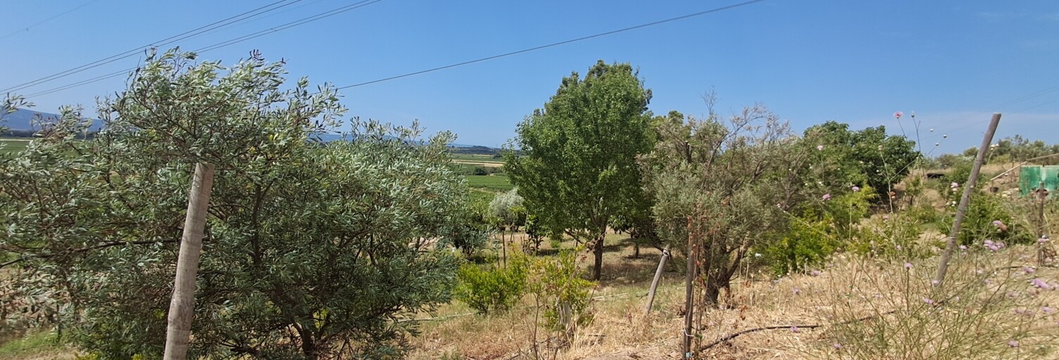 Terrain  4865 m² à vendre à Azille (11700)