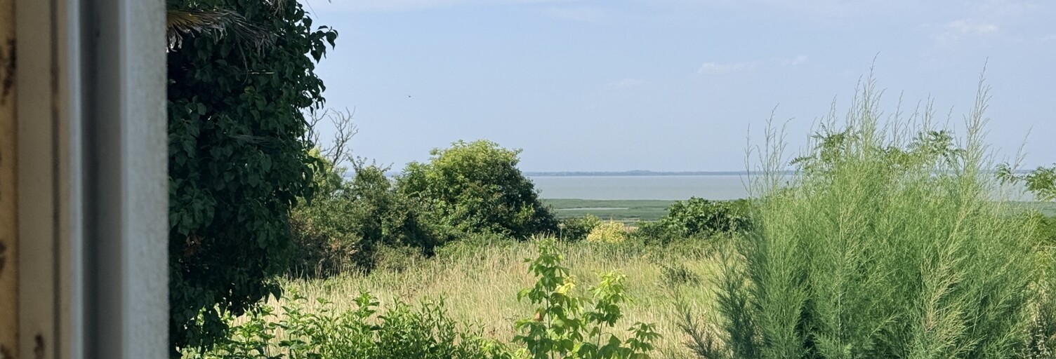 Maison 7 Pièces 142 m² à vendre à Mortagne-sur-Gironde (17120)
