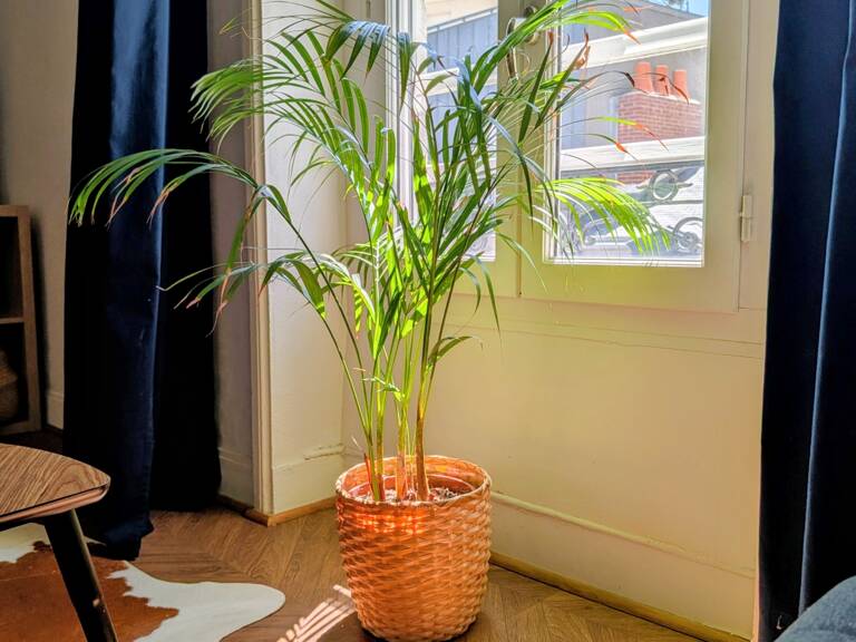 Vente Appartement 2 pièces — photo 1