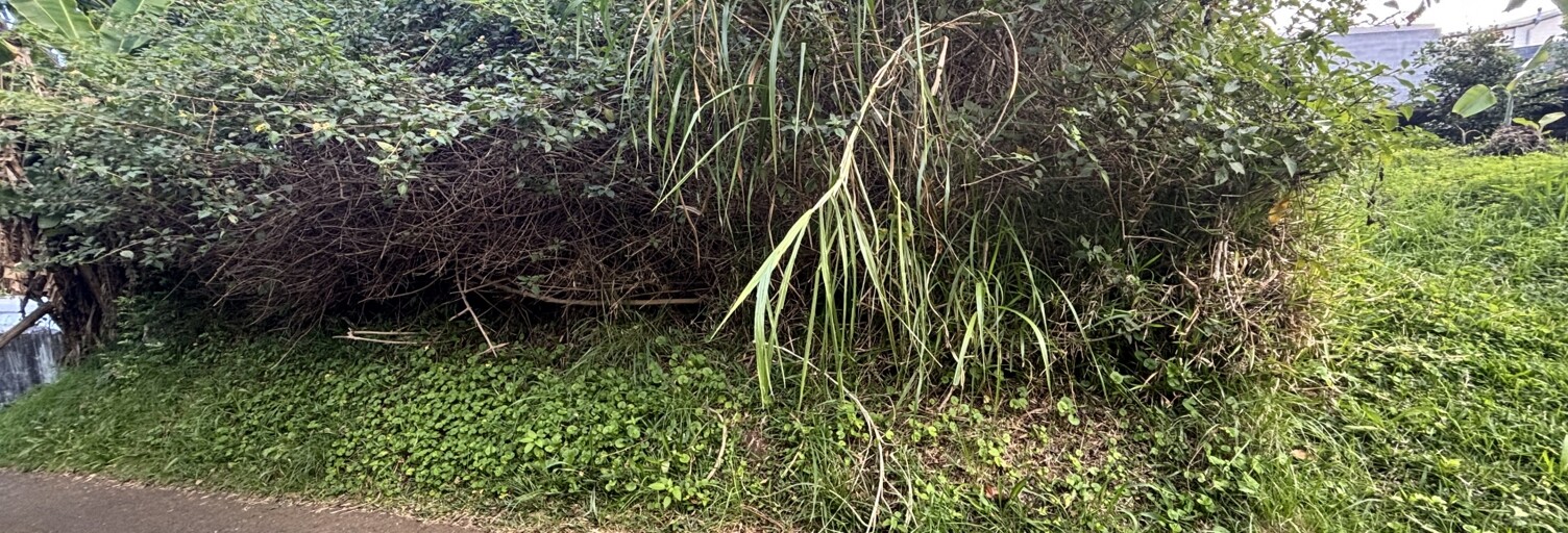 Terrain  450 m² à vendre à Le Tampon (97430)