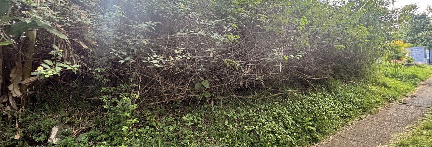 Photo N° 2