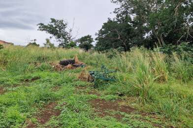 Terrain  240000 €