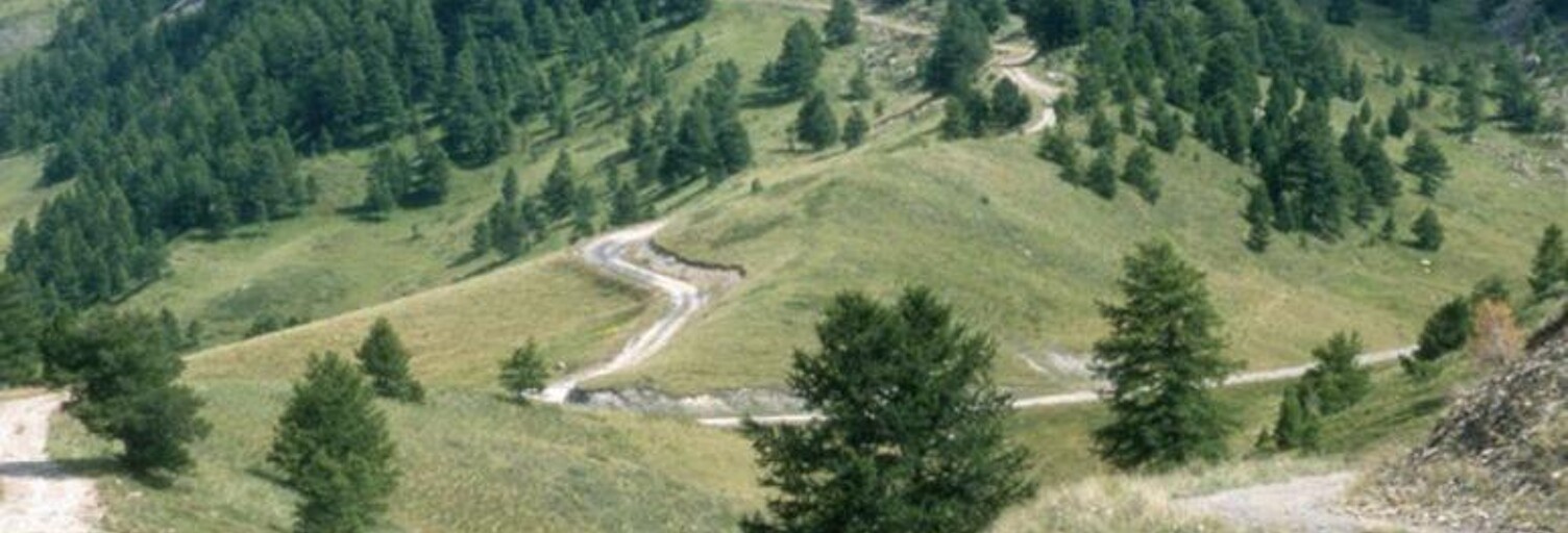 Photo N° 2