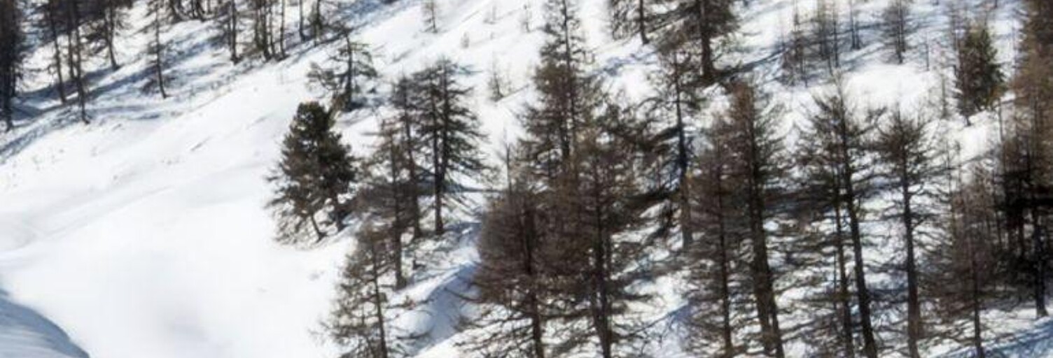 Photo N° 2