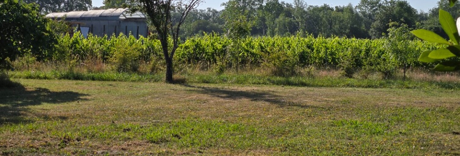 Terrain  605 m² à vendre à Saint-André-de-Cubzac (33240)