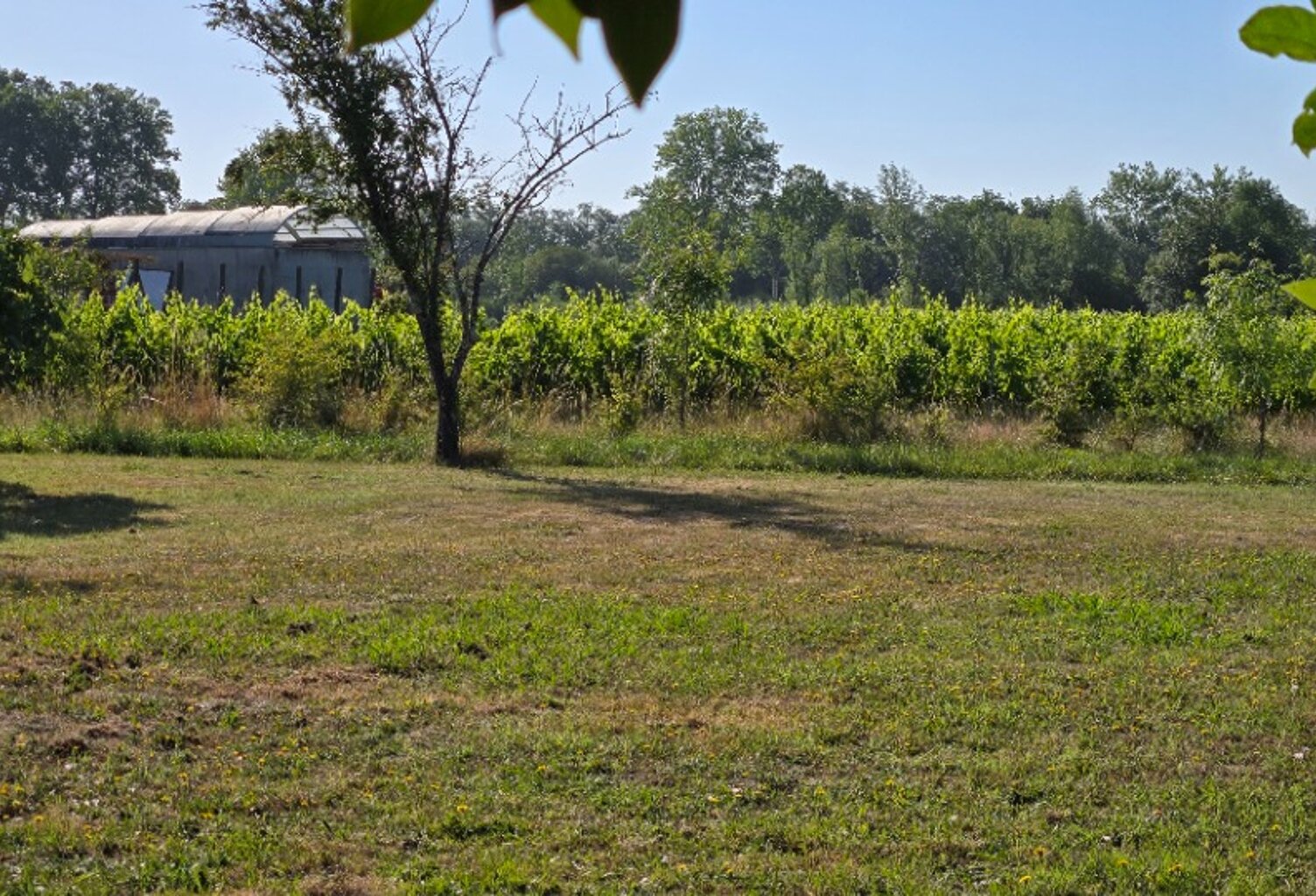 Terrain à bâtir à Saint-André-de-Cubzac (33240) — photo 1
