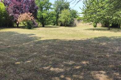 Terrain  175000 €