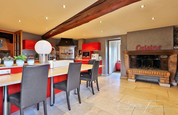 DOMAINE DE CHARME DU XIXᵉ SIÈCLE – 220 m² – MONTS DU LYONNAIS — photo 5