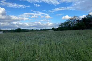 Terrain  75000 €