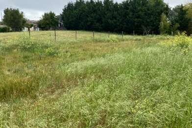 Terrain  123000 €