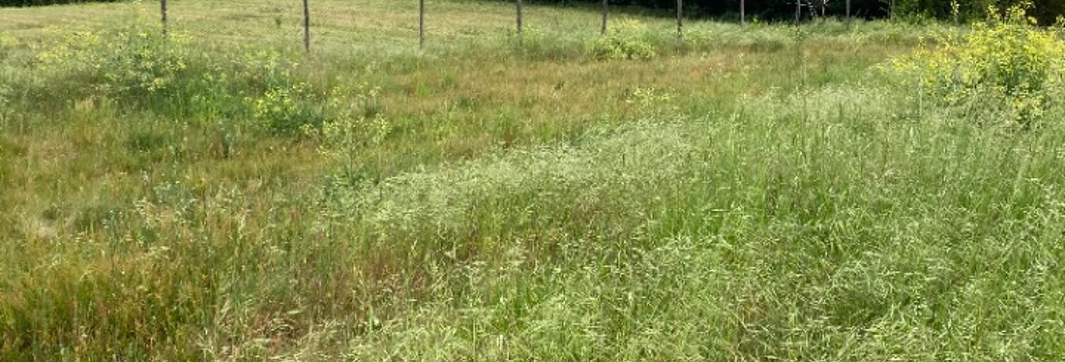 Terrain  586 m² à vendre à Ambarès-et-Lagrave (33440)