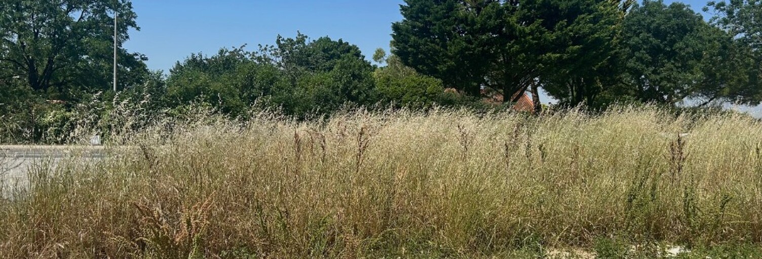 Terrain  299 m² à vendre à Bourgneuf (17220)