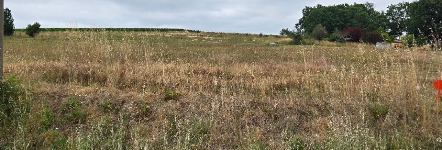 Terrain  1320 m² à vendre à Saint-Savin (33920)