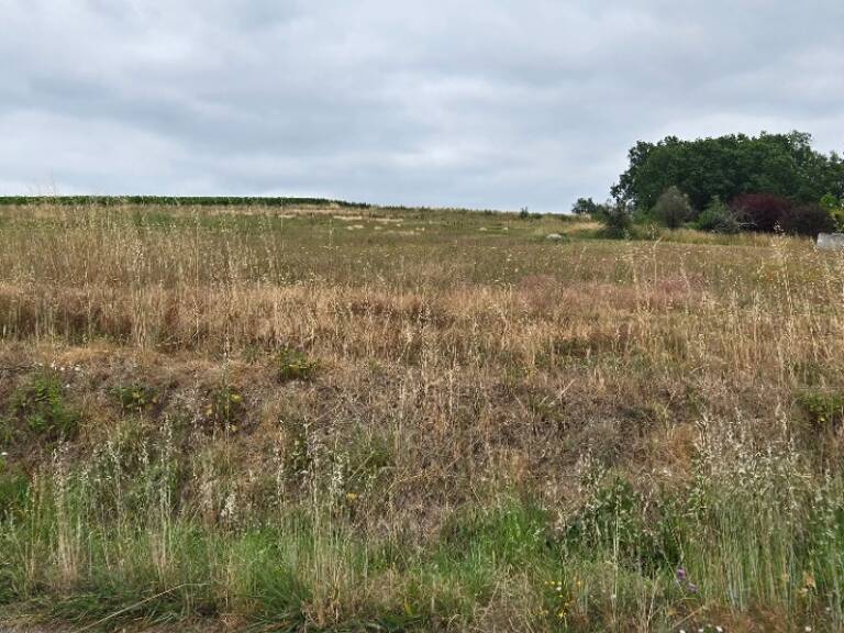 Terrain à bâtir à Saint-Savin (33920) — photo 1