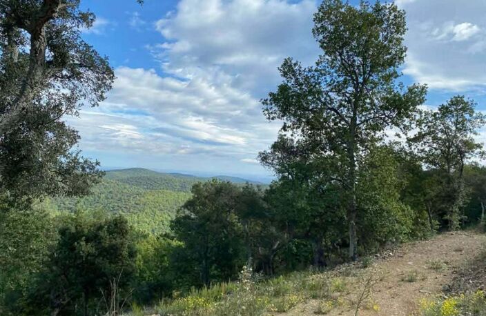 Superbe terrain de 1237 m² avec une vue incroyable dans un petit village du Vallespir proche de Ceret libre constructeur — photo 2
