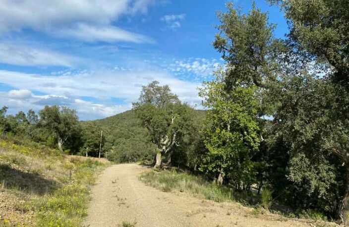 Superbe terrain de 1237 m² avec une vue incroyable dans un petit village du Vallespir proche de Ceret libre constructeur — photo 3