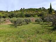 Magnifique terrain 1840 m2 vue panoramique ! — photo 3