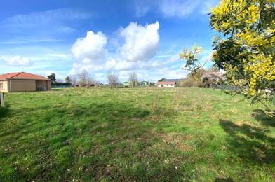 Terrain  29000 €