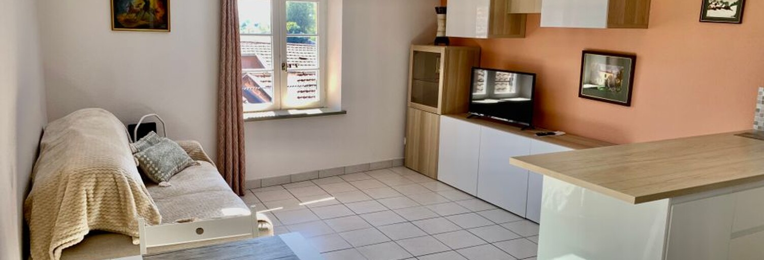 Appartement 1 Pièce 30 m² à louer à Trévoux (01600)
