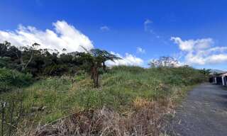 Terrain  469 m² à vendre à La Plaine-des-Palmistes (97431)
