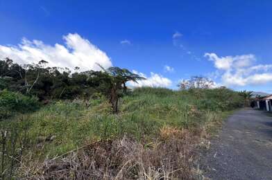 Terrain  88000 €