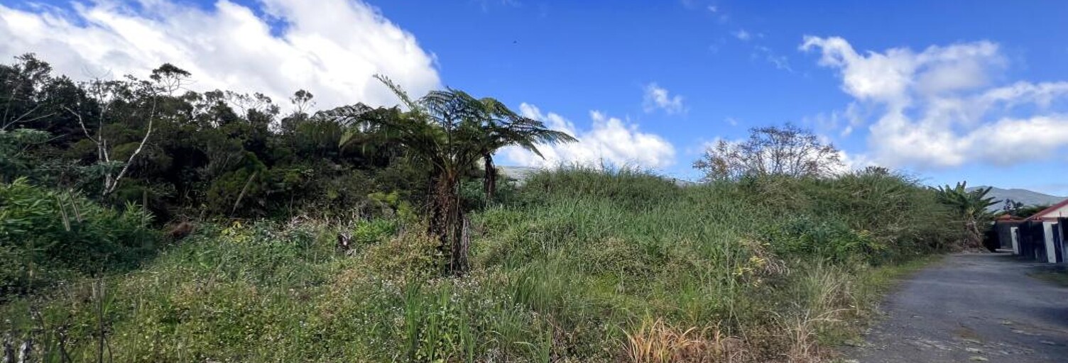 Terrain  469 m² à vendre à La Plaine-des-Palmistes (97431)