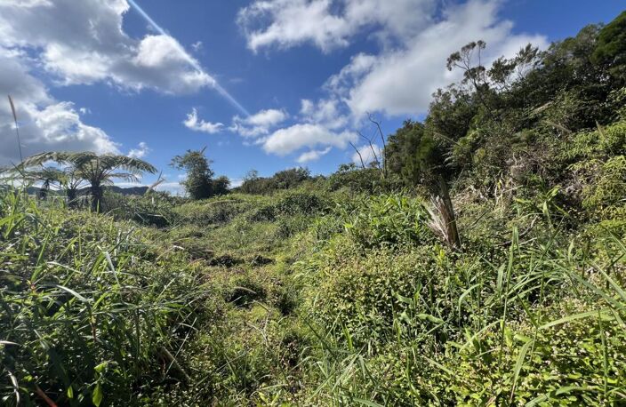 À La Plaine-Des-Palmistes, terrain 469 m2 à vendre avec KRI — photo 3