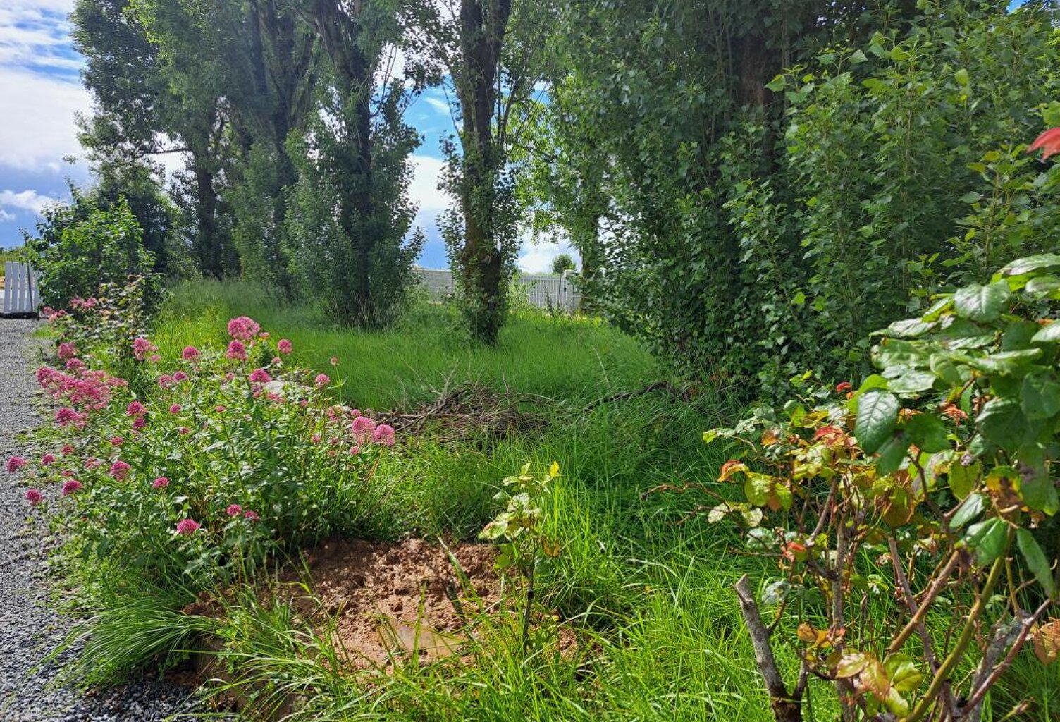 Terrain à vendre sur Dompierre sur mer — photo 1