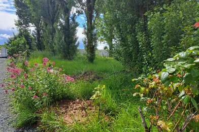 Terrain  124200 €