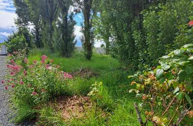 Terrain à vendre sur Dompierre sur mer — photo du bien