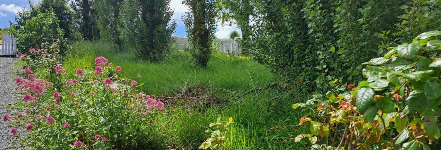 Terrain  400 m² à vendre à Dompierre-sur-Mer (17139)