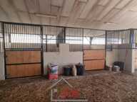 corps de ferme avec terrain et box — photo 3