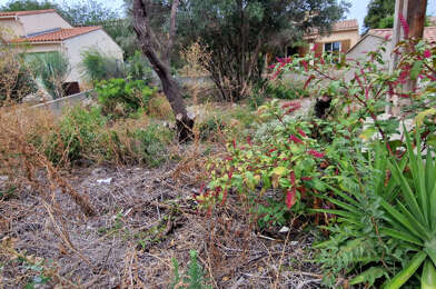 Terrain  273000 €