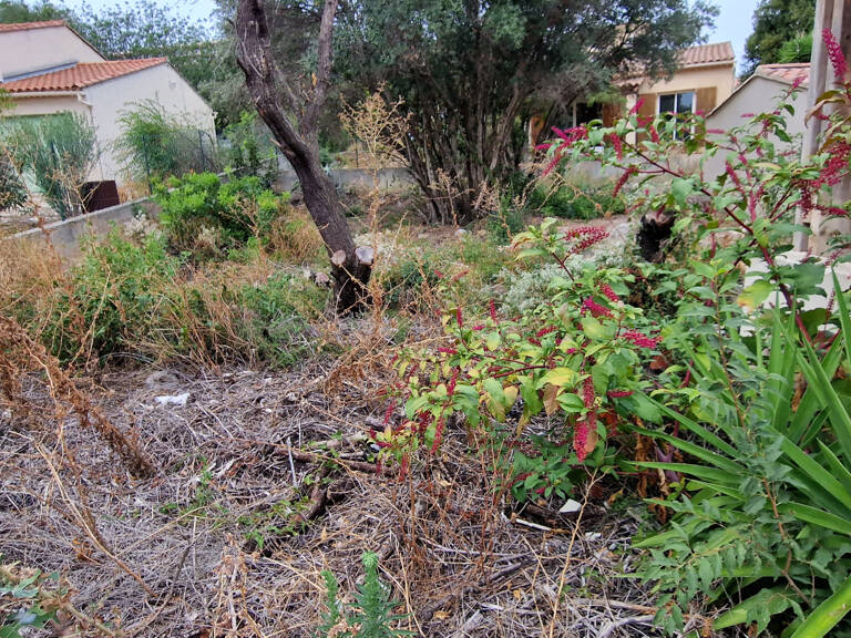 La ciotat cretes : Terrain constructible — photo 1