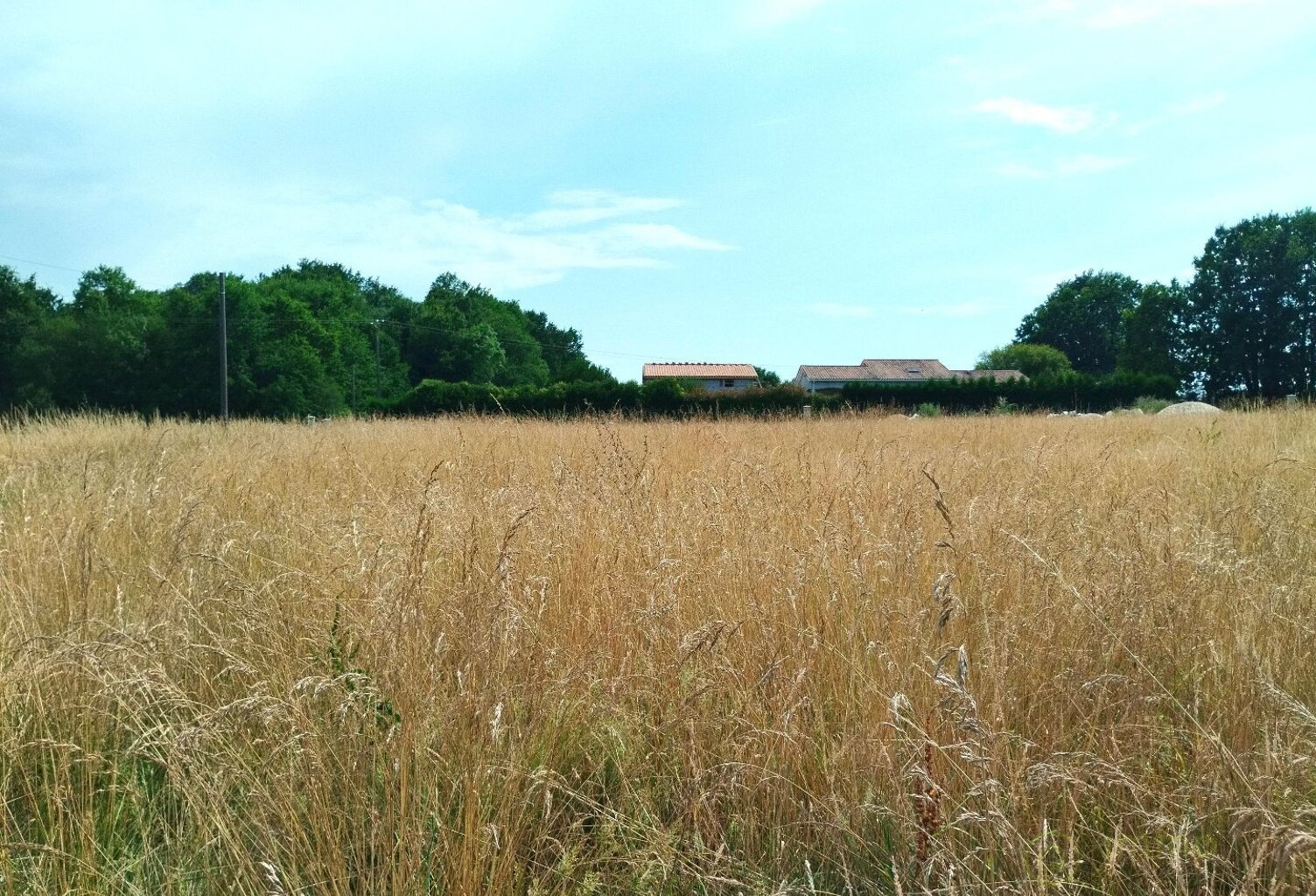 Terrain — photo 1