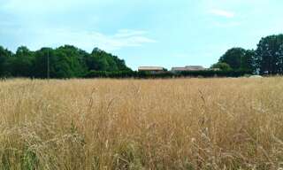 Terrain  1750 m² à vendre à Mérignac (17210)
