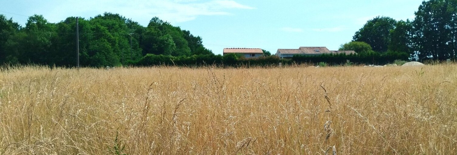 Terrain  1750 m² à vendre à Mérignac (17210)