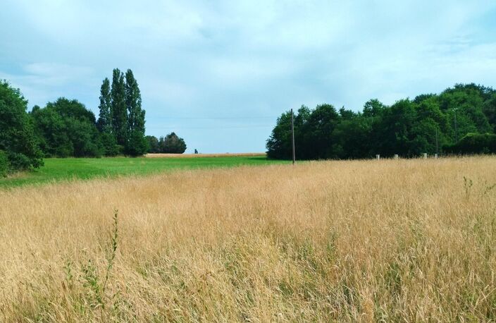 Terrain — photo 2