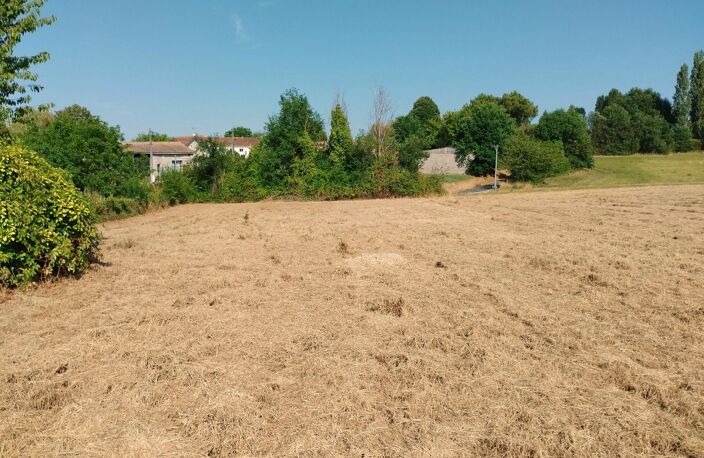 Terrain — photo 3