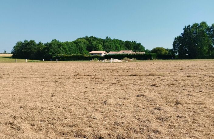 Terrain — photo 4