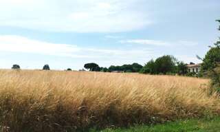 Terrain  1000 m² à vendre à Mérignac (17210)