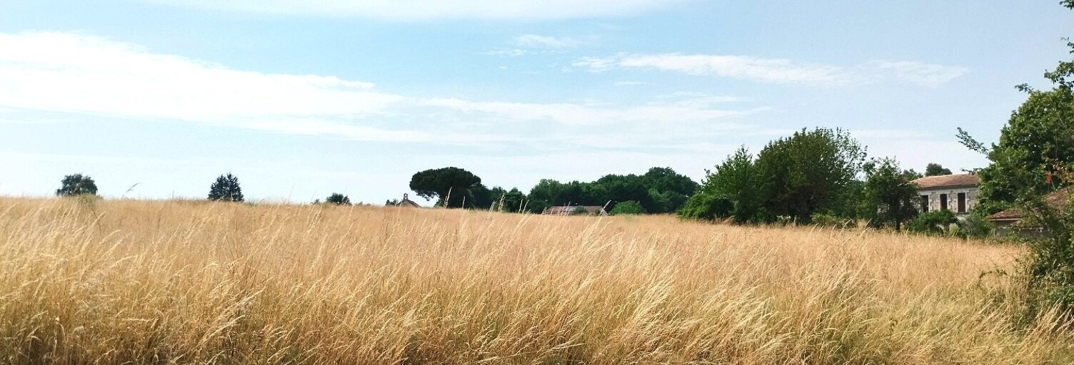 Terrain  1000 m² à vendre à Mérignac (17210)