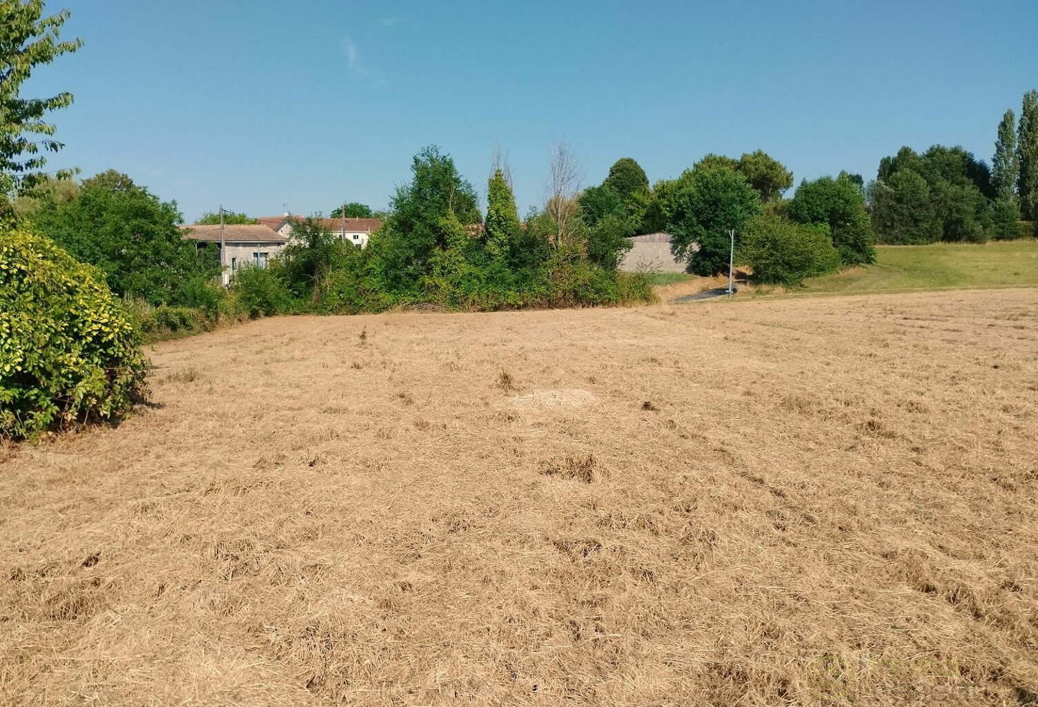 Terrain — photo 1