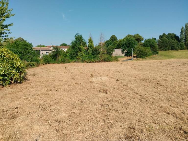 Terrain — photo 1