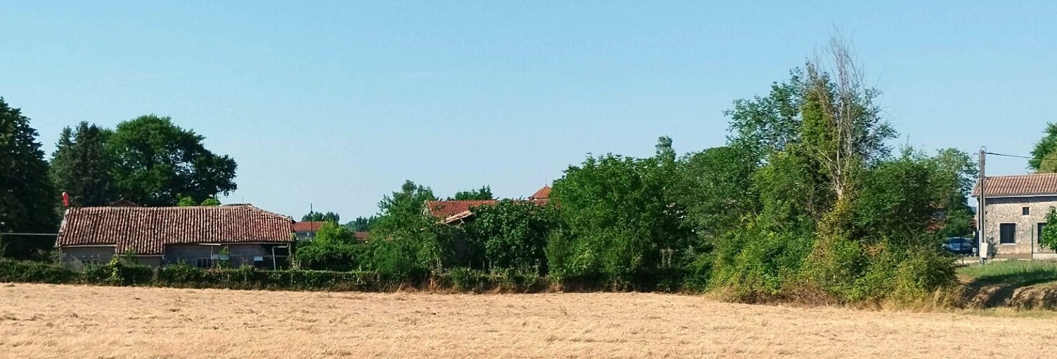 Photo N° 2