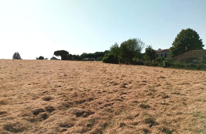 Terrain — photo 3