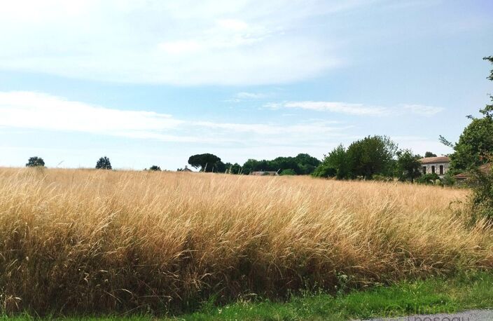 Terrain — photo 4