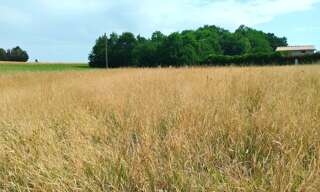 Terrain  2546 m² à vendre à Mérignac (17210)