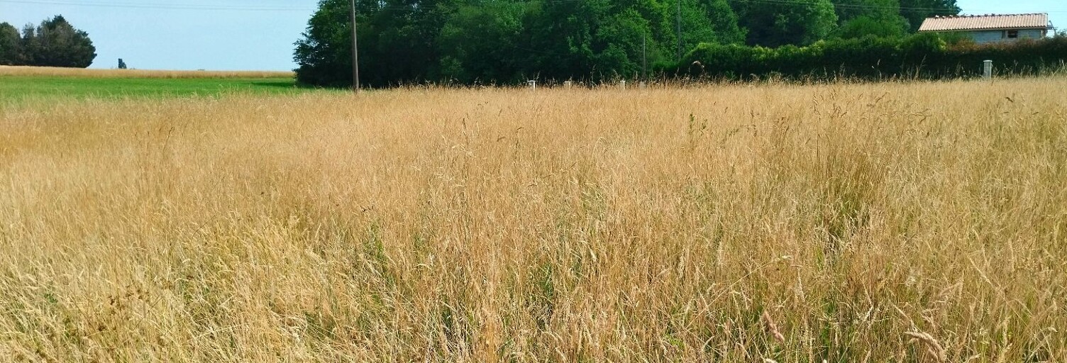 Terrain  2546 m² à vendre à Mérignac (17210)