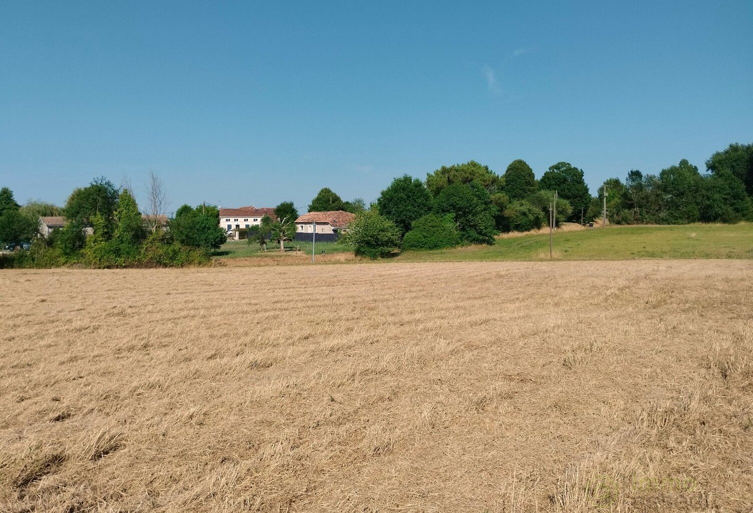 Terrain — photo 1